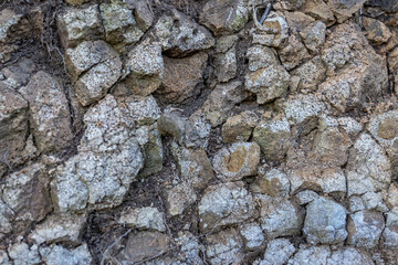 Weathered basalt. Koʻolau Range / shield volcano. Moanalua Valley & Moanalua Ridge Trail to the Haiku Stairs (Stairway To Heaven), Honolulu, Oahu, Hawaii. Koolau Basalt / Tholeiitic basalt. Oxidized
