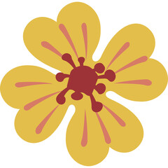 Stylized Yellow Flower With Red Center And Pink Stripes On Transparent Background Simple Botanical Illustration Graphic Design Element