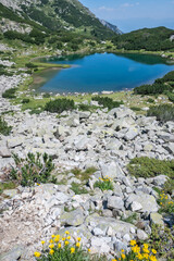 Pirin Mountain around Muratovo Lake, Bulgaria