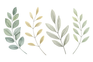 Delicate watercolor illustrations of four diverse leafy branches on a clean white background