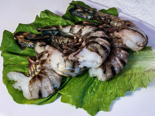 Raw jumbo black tiger shrimp on a lettuce leaf ready to be peeled