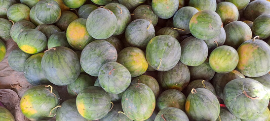 a pile of fresh green watermelons with bright green skin	

