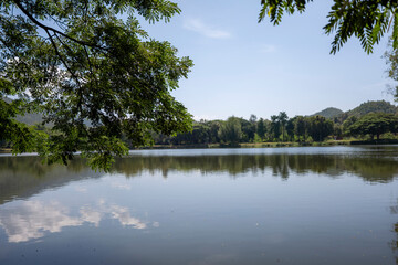 Obraz premium Green tree leaves framing tranquil lake water reflection