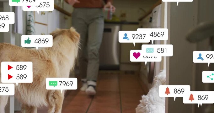 Social media bubbles appearing around dog rear, filling hallway as creator feeding dogs