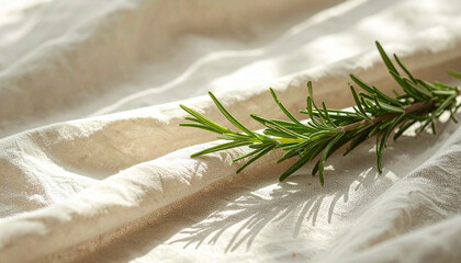 ローズマリーのナチュラルアロマ背景