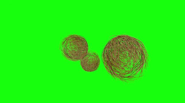 Tumbleweeds passing on a dessert 4k on green background.