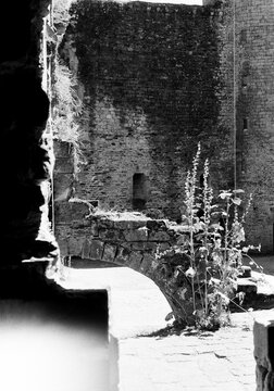Interior yard of a French abbey