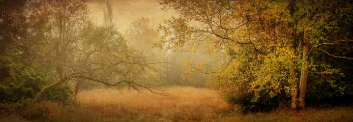 Panoramic view of a rural forested field in the morning mist all decked out in beautiful autumnal colors. The fog provides the scene with an almost painterly and enchanting quality.