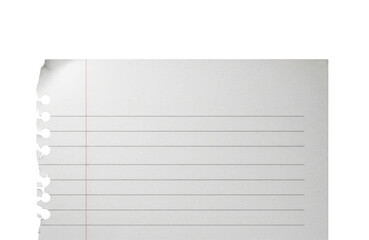 A torn sheet of lined paper from a notebook, isolated on a transparent background