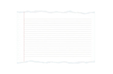 A torn sheet of lined paper with a red margin, isolated on transparent background