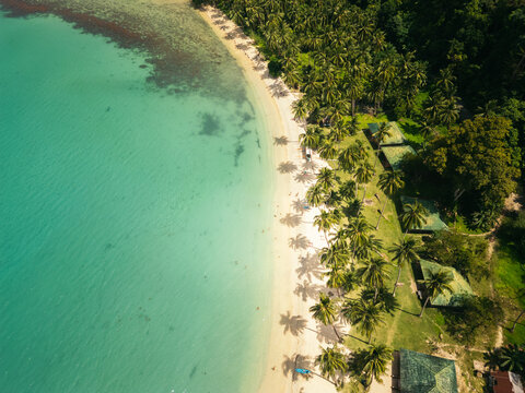 Tropical beach with palm trees and clear turquoise water