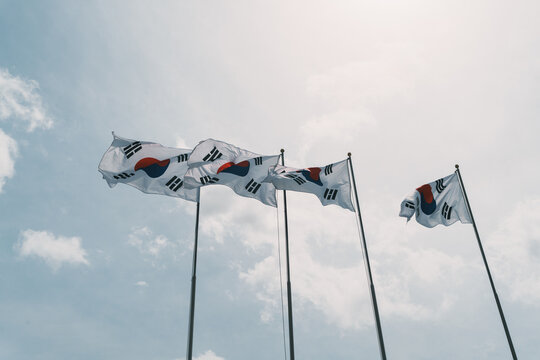 Korean flags in the wind