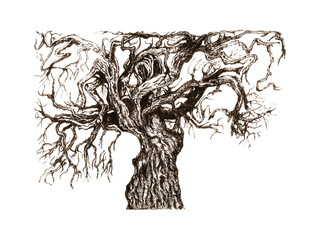 
Vintage Ink Sketch of a Bare Tree. Detailed ink illustration of an ancient tree with gnarled roots and twisted branches, hand-drawn in vintage style with intricate linework and natural texture