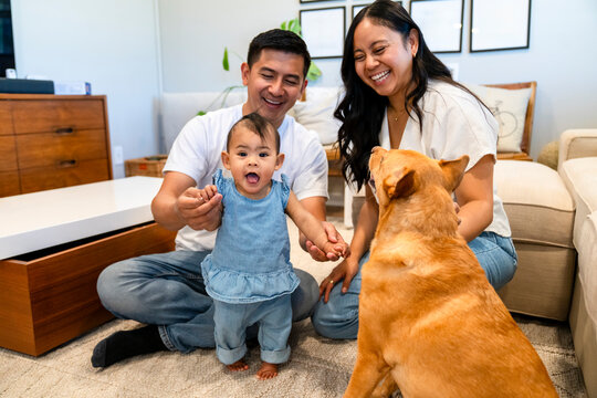 family pet lifestyle