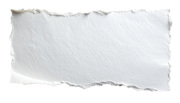 Torn paper texture background isolated in transparent background | White ripped paper edges isolated graphic 