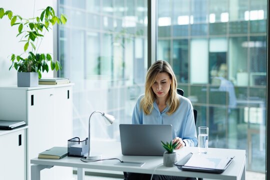 Focused adult businesswoman or entrepreneur working on laptop