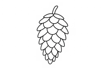 Hop flower beer ingredient line drawing for craft brewing and beverage production with transparent background