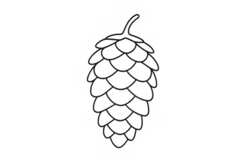 Hop cone drawing with simple outline illustrating ingredient for brewing beer on transparent background