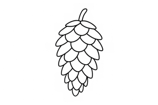 Hop flower beer ingredient line drawing for craft brewing and beverage production with transparent background
