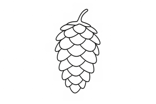 Hop cone drawing with simple outline illustrating ingredient for brewing beer on transparent background