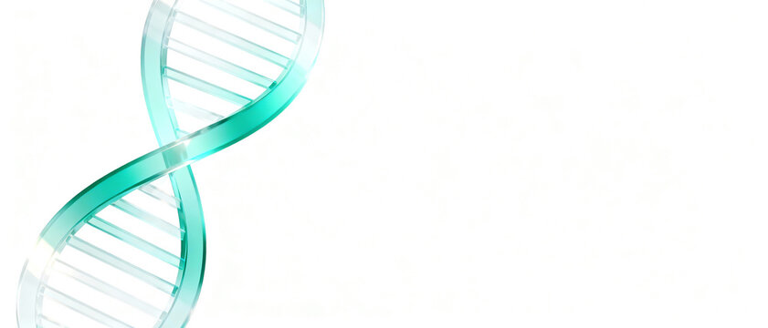 Three-dimensional image of a DNA double helix, made of transparent, blue-green glass, symbolizing science, genetics, and biology. - Powered by Adobe