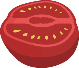 Cross-section of a fresh red tomato, revealing seeds and pulp. Simple vector illustration.