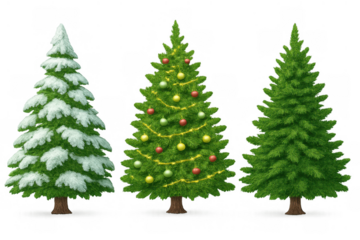 Christmas trees set including an evergreen snow-covered fir, a decorated tree with baubles, and a plain spruce, all on transparent background