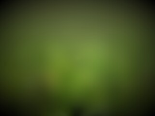 green abstract background