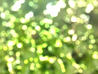 green bokeh background