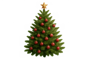 Christmas tree decorating celebrations with festive red baubles and a golden star on top, transparent background