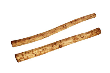 Fresh burdock roots or gobo roots