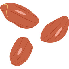 Three Raw Unpeeled Peanuts Isolated on a White Background Realistic Vector Illustration