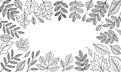 Fototapeta premium Artistic Frame Border with Leaves Featuring Variety of Leaf Types in a Decorative and Ornamental Linear Style for Nature Themed Graphics