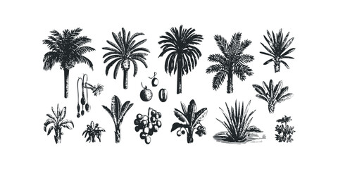 Collection of Stylized Tropical Plants and Fruits
