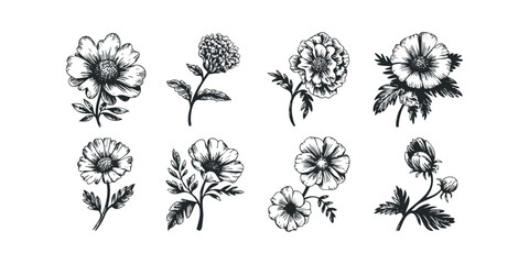 Set of Floral Illustrations With Blooming Flowers and Leaves