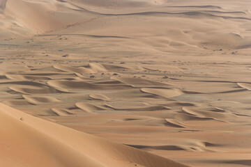 A high-angle view captures the geometric expanse of hundreds of golden, wind-swept sand dunes
