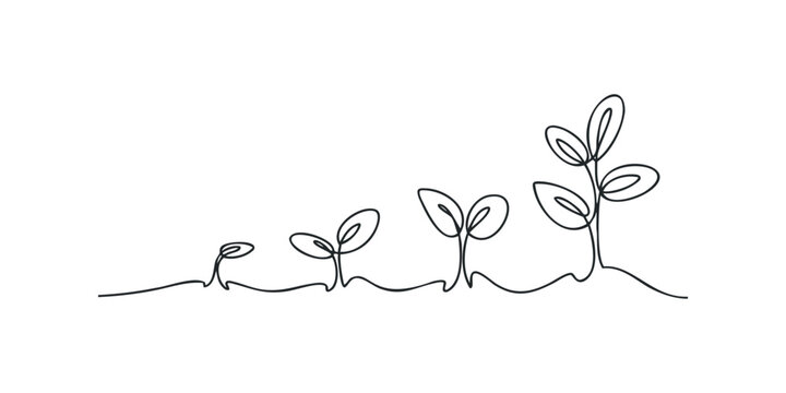 Continuous line drawing of growing seedlings in stages