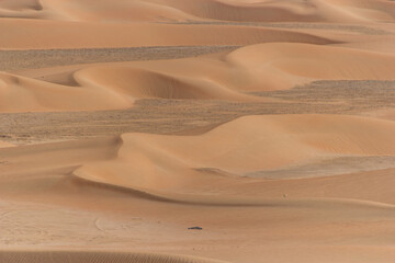 waves of vast, sunlit golden sand dunes stretching to the horizon