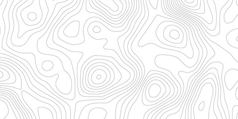 abstract topographic wave line black, white line map texture. geometric discovery mounted location counter grid map background. White wave paper curved reliefs abstract background. The topographic map
