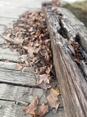 Close-up of weathered wooden board with fallen leaves 