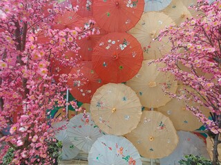 Colorful Paper Umbrellas with Cherry Blossoms
