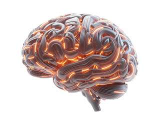 Wire AI Brain Transparent Background
