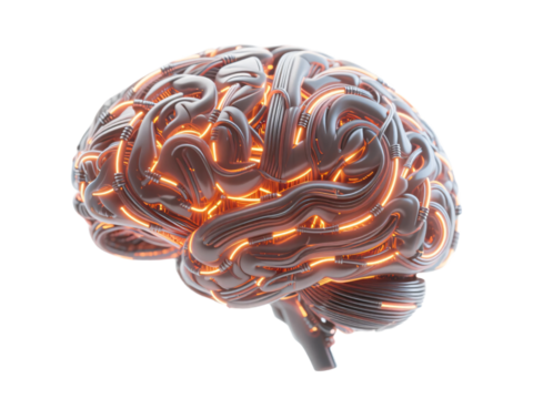 Wire AI Brain Transparent Background