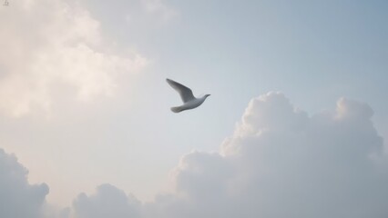 Fototapeta premium Seagull soars above clouds in a serene blue sky, conveying freedom.