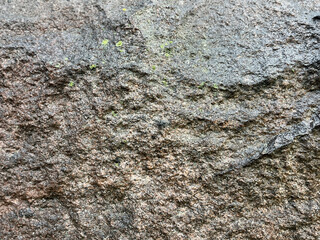 Close-up of a rough stone surface with natural uneven texture and shades of gray and brown, showing detailed mineral patterns for a rustic background.