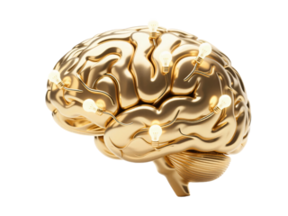 Gold Brain with Light Bulb Transparent Background
