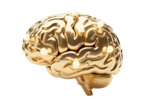 Gold Brain with Light Bulb Transparent Background