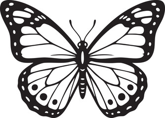 Monarch butterfly viewed from above, black and white