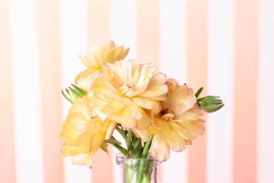 Peach butterfly ranunculus flowers in a clear vase