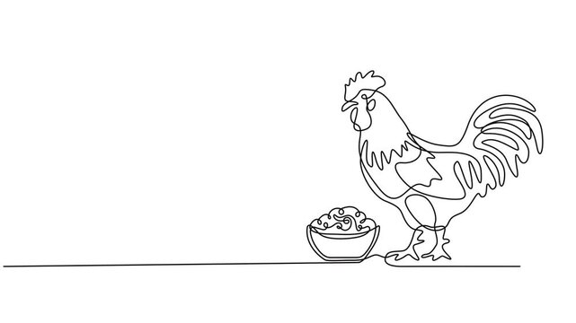 Self drawing animation of continuous one line drawing chicken foraging for food. National Farm Animals Day. Continuous line design graphic illustration, Full length single line animation, minimalist.
